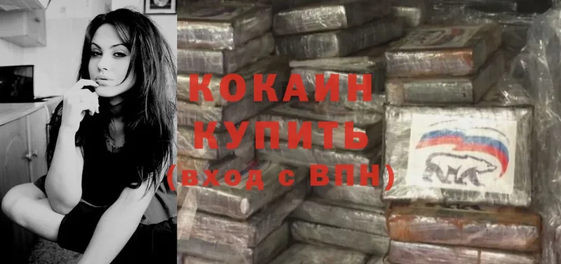 даркнет сайт  МЕГА маркетплейс  Cocaine 99%  Курган 